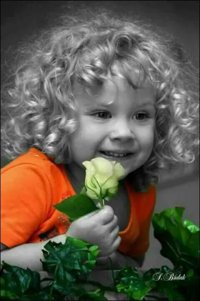 Qui chantait "Un enfant de toi, sans être marié" ?