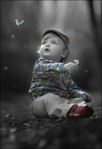 Qui exprimait son émotion en chantant "Mon fils, ma bataille" ?