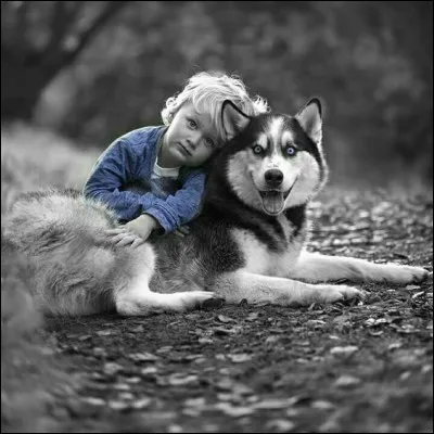 À qui sont les paroles "Il y a plein d'enfants qui se roulent sur la pelouse, il y a plein de chiens, il y a même un chat, une tortue, des poissons rouges..."