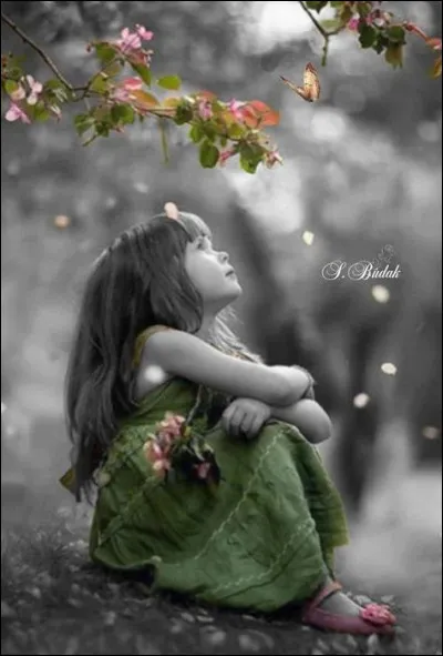 Qui voulait nier sa solitude en chantant "Tu te trompes, petite fille,si tu me crois désespéré, la nature a horreur du vide..." ?