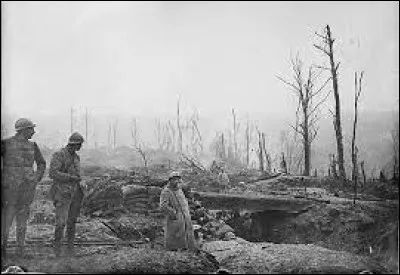 Bataille de Verdun :