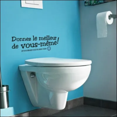 Poisson des mers chaudes, couvert d'écailles épineuses, appelé populairement poisson-globe !