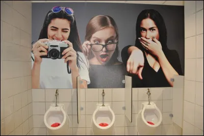 Mammifère d'Amérique à courte trompe, amateur de végétaux !