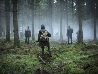 Quel est le titre de cette série télévisée, sortie en 2017, dont l'action se déroule au coeur d'une immense forêt ?