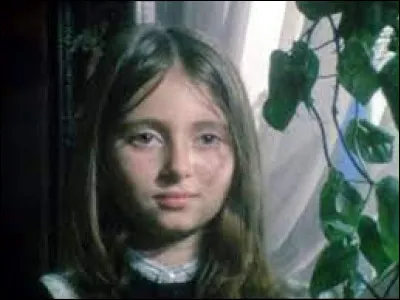 Quel est le titre de cette série télévisée, sortie en 1974 qui suit une famille paysanne du Limousin à la fin du XIXe siècle ?