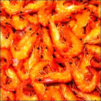 Sous quel nom sont généralement commercialisées les crevettes de mer dune taille supérieure à 15 centimètres ?