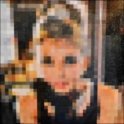 Evidemment, ce portrait de l'artiste Marie KVK, titré "Audrey 1296" est tiré du film... ?