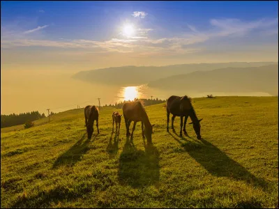 Et pour finir, quelle est ta plus grande qualité ?
