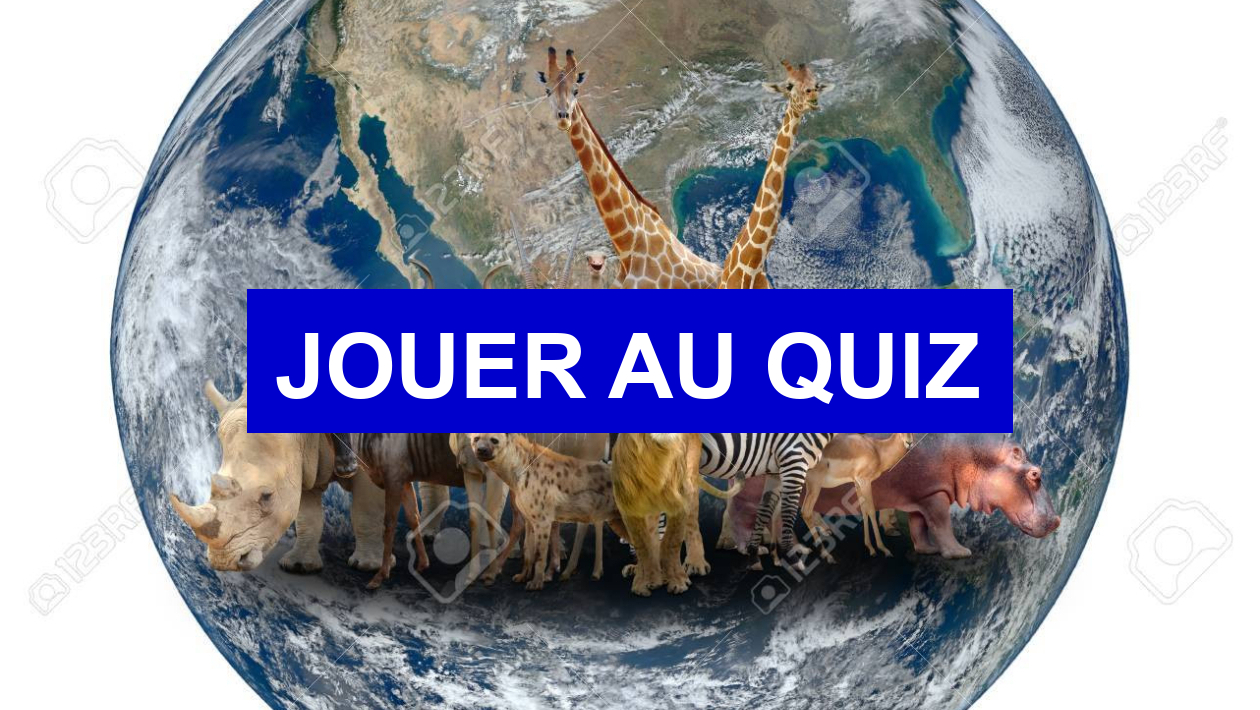 Quiz Animaux