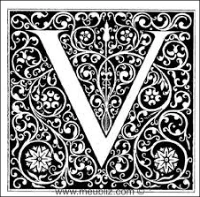 Quelle actrice incarne Violetta dans la série jeunesse du même nom ?