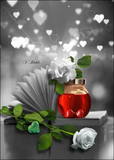 Quel écrivain dont les romans ont reçu des prix prestigieux, est l'auteur du livre "Du plus loin de l'oubli", narrant une courte histoire d'amour, 30 ans plus tôt" ?