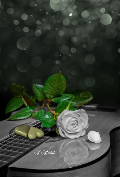 De qui est la chanson "N'oubliez jamais, I heard my father say..." ?