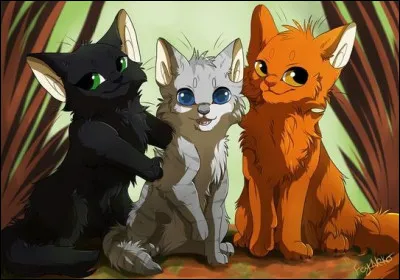 Tu te nommes Petit Songe et tu es né dans le clan du Tonnerre. Tu as un long pelage gris sombre et des yeux couleur or. Tu es le seul de la portée mais le jour suivant, une autre reine met au monde six chatons. Tu n’es plus seul dans la pouponnière et les jours passent sans que tu t’ennuies. Tous les jours, à quel jeu jouez-vous ?