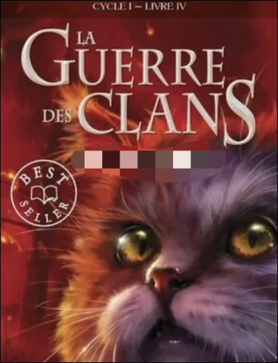 Trouve celui du quatrième ! Lequel est-ce ?