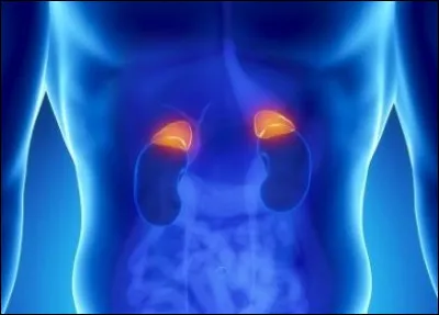 Santé : Quelle maladie est parfois appelée maladie bronzée en raison de la pigmentation de la peau brunâtre au niveau des plis et des muqueuses ?