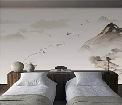 Quel est le nom de la salle d'expérimentation dont les parois absorbent les ondes sonores et électromagnétiques ?