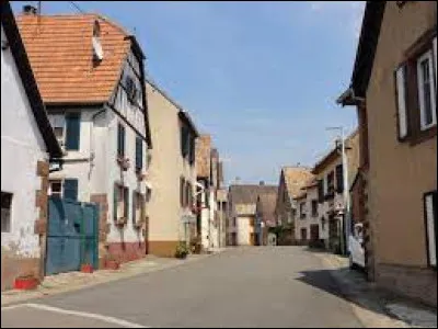 Village inclus dans l'aire urbaine de Saverne, dans le parc naturel régional des Vosges du Nord, Saint-Jean-Saverne se situe dans le département ...