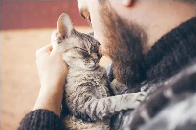 Soudain, un bipède entre et, te voyant, te caresse le dos. Tu restes pétrifiée de peur mais Pâris se frotte contre toi en te murmurant de ne pas avoir peur, le bipède ne te fera rien. Tu décides de le croire et de rester calme. Moment inattendu, le bipède te prend dans ses bras ; que fais-tu ?