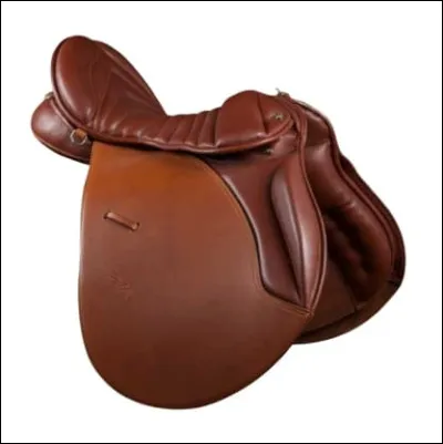 Quelle est cette selle ?