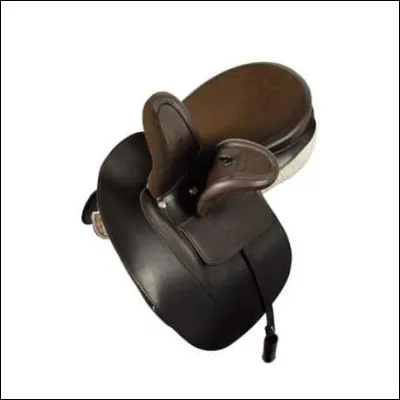 Quelle est cette selle ?