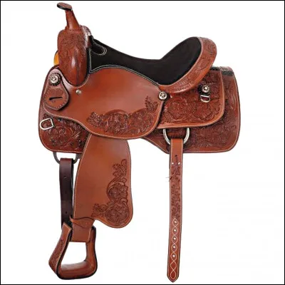 Quelle est cette selle ?