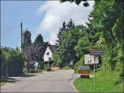Village de Bourgogne-Franche-Comté, dans l'arrondissement de Dole, Pupillin se situe dans le département ...