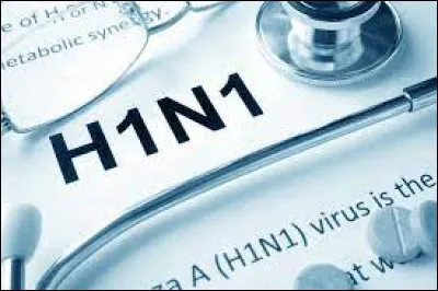 Dans quel pays la pandémie de grippe H1N1 de 2009 a-t-elle commencé ?