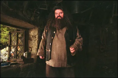 Pour déloger quel type de créature, Gilderoy Lockhart propose-t-il son aide à Hagrid ?