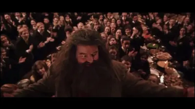 Combien Harry et Ron ont-ils fait gagner de points à Gryffondor grâce à leurs exploits dans la chambre des secrets ?