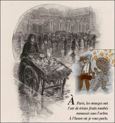 Une histoire de Paris, d'Algérie, de Corse... et d'écorces. Retrouvez le titre !