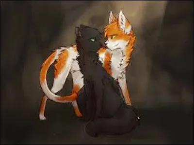 Ton/Ta meilleur(e) ami(e), Feuille d'Érable, te dit qu'il/elle t'aime, comment réagis-tu ?