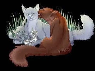 On va dire que tu as accepté de devenir sa compagne ou son compagnon. Quelques lunes plus tard, tu apprends que vous attendez des chatons, une femelle et un mâle !