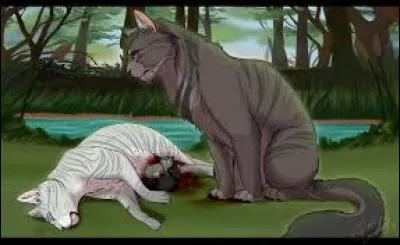 Mais quelques lunes plus tard, Feuille d'Érable meurt !