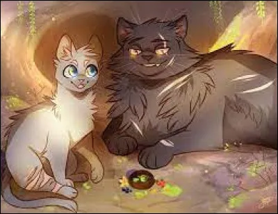 Tu apprends que le mentor de Nuage d'Érable/de Tigre/de Sang est il d'Ambre, la guérisseuse du clan !