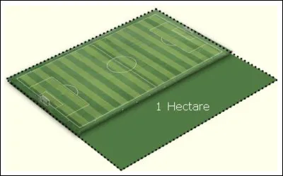 Combien de m2 représente un hectare ?