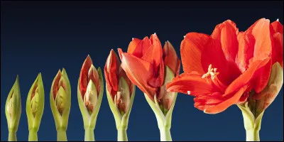 Comment t'imagines-tu dans 20 ans ?