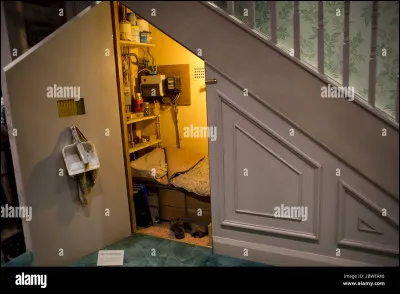 D'où vient cette chambre ?