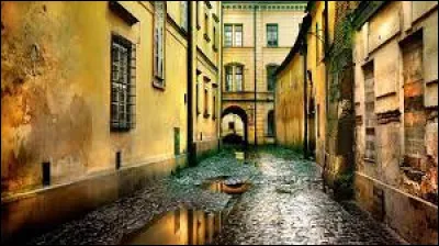 Quel acteur est à l'affiche du long-métrage "Rue barbare" ?