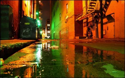 À quel chanteur doit-on le titre "Je suis né dans la rue" ?