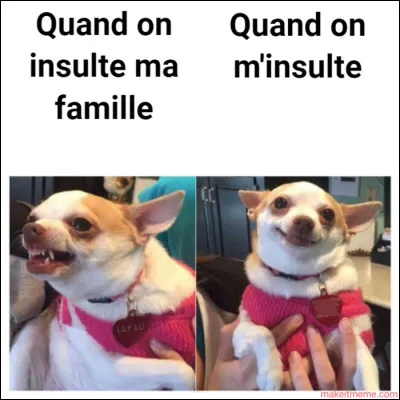 Préfères-tu les chiens blancs ou marron ?