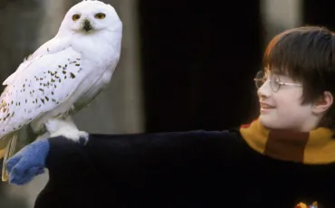 Quiz Animaux