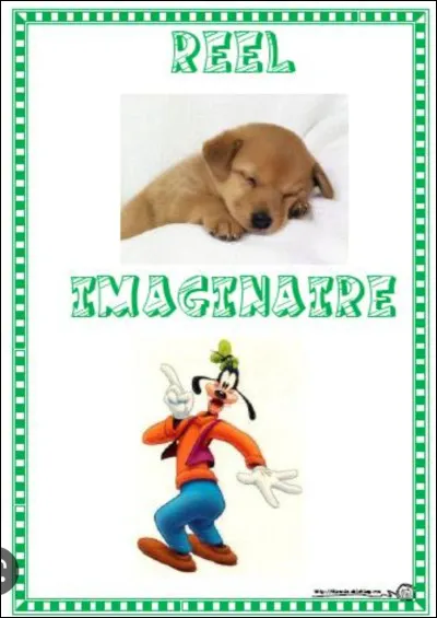 Veux-tu que ton animal soit réel ou imaginaire ?