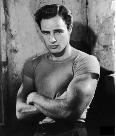 Qui était ce Marlon, acteur américain, sex-symbol des années 1950, légende du cinéma et défenseur des Amérindiens ?