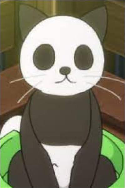 Comment s'appelle le chat des Colors ?