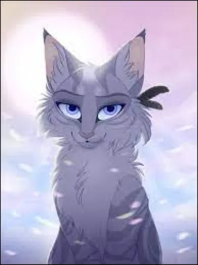 Comment sappelle cette chatte ?