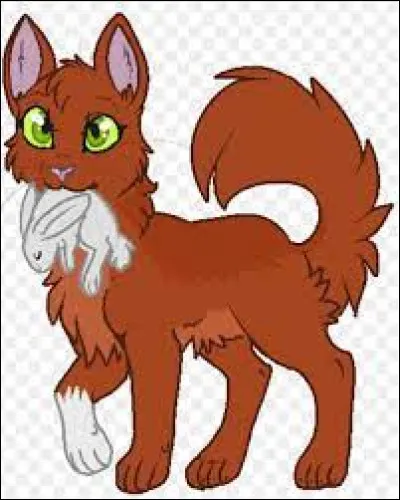 Comment sappelle cette chatte ?