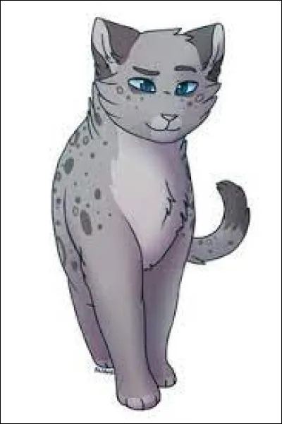 Quel est ce chat qui veut se venger pour avoir lamour de Poil dÉcureuil ?