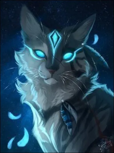 Comment sappelle ce chat aveugle ?