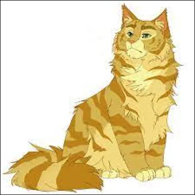 Comment s'appelle ce chat ?