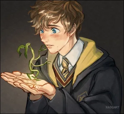 Les années passent puis tu arrives en cinquième année. Il est temps de réfléchir au métier que tu voudrais faire plus tard...
Ce serait :